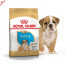 Royal Canin BULLDOG PUPPY Сух. корм для цуценят породи англійський бульдог від 2 до 12 міс., 12кг
