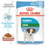Royal Canin MINI PUPPY  Конс. корм для цуценят малих порід  до 10 міс. пауч, 85г