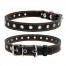 CoLLaR Нашийник д/собак безрозмірний,р.S (ш.20мм,дов.50см), шкіра, чорний