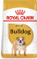 Royal Canin BULLDOG ADULT Сух. корм для дор. собак породи англійський бульдог від 12 міс., 12кг
