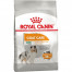 Royal Canin MINI COAT CARE   Сух. корм для собак  дрібних порід  до 10 кг із тьмяною та жорсткою шерстю, 1кг